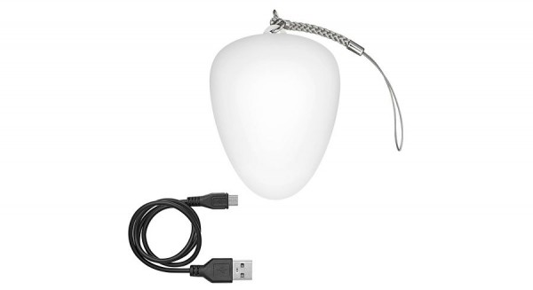 Langwerpig Siësta langs Handtaslamp met 2 leds, met praktische IR-sensor, oplaadbare lamp voor in  de handtas, inclusief micro-USB-oplaadkabel | mobiele verlichting | LED's,  zaklampen, lichttechniek | Akku-Shop Nederland