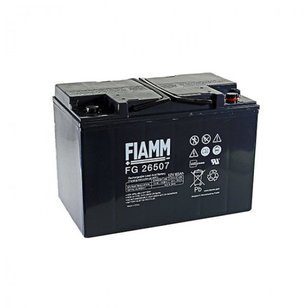 Fiamm FG26507 loodbatterij met M6-schroefaansluiting 12V, 65000mAh
