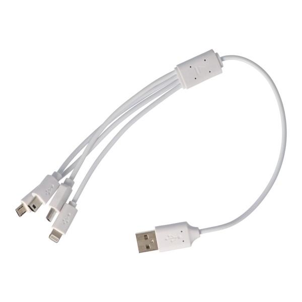 radium Verslaggever Dicht USB-oplaadkabel 4 in 1 geschikt voor USB-C, Mini-USB, Micro-USB en 8-pins  connector | voor USB-C | Chargers | Akku-Shop Nederland