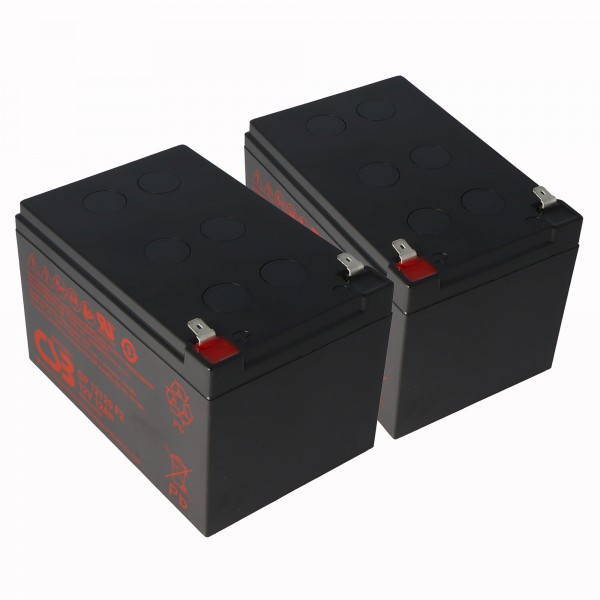 2 stuks vervangende batterij geschikt voor APC RBC6 geschikt voor APC Smart UPS 700, 1000, 1500 & Back UPS Pro 1000 (afmetingen (LxBxH): 151x98x94mm, gewicht: 3900 gram (3,9 kg)